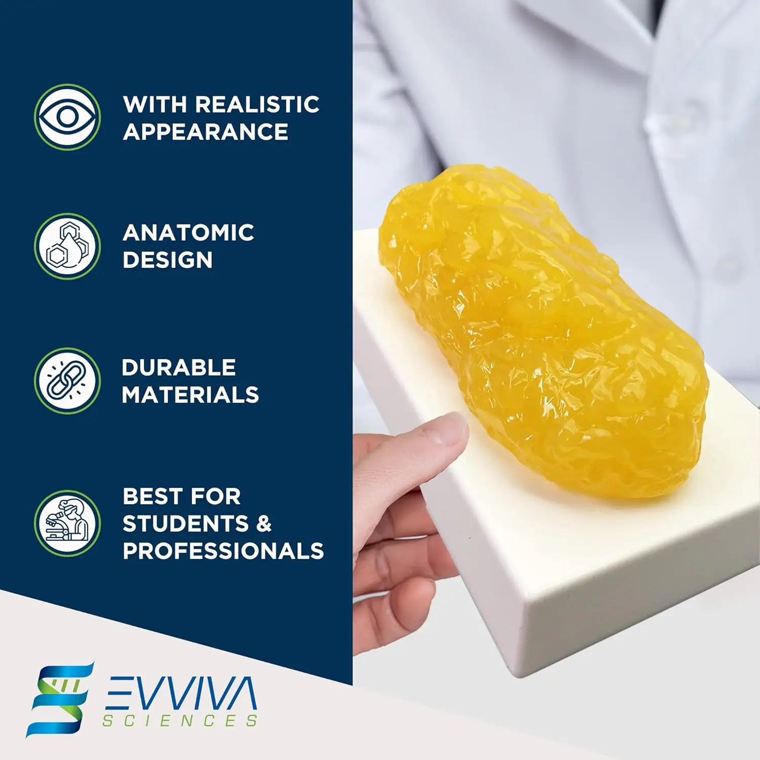 نماذج مقلدة للعضلات والدهون ال - مراجعة Nutrition For Health Fitness & Sport Melvin Williams وسعره